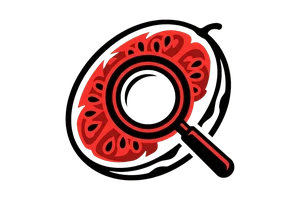免费高清视频 - 吃瓜社Logo